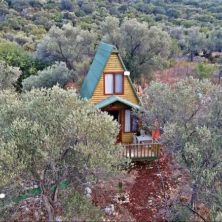 Hotel History Limanagzi 2*