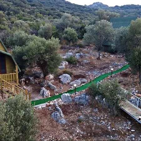 Hotel History Limanagzi 2*