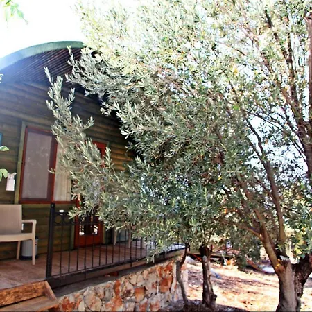 History Limanagzi Kas