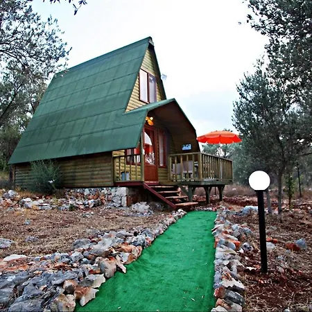 History Limanagzi 2* Kas