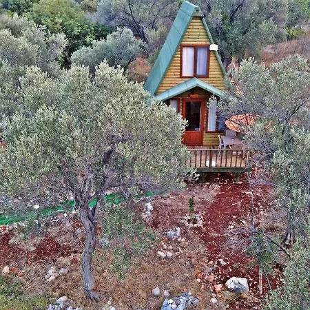 Hotel History Limanagzi Kaş