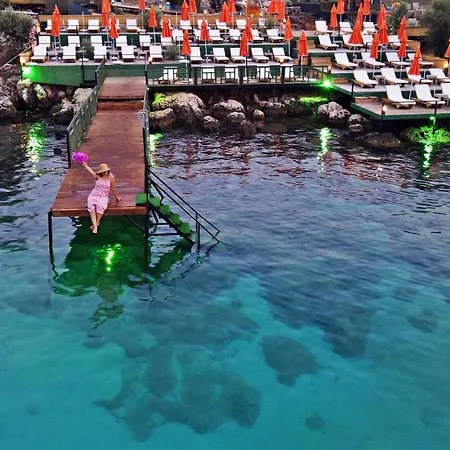 History Limanagzi 2*