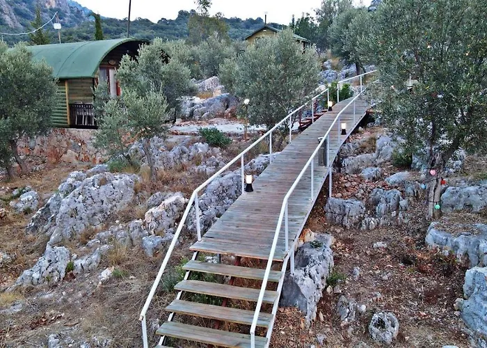 Hotel History Limanagzi