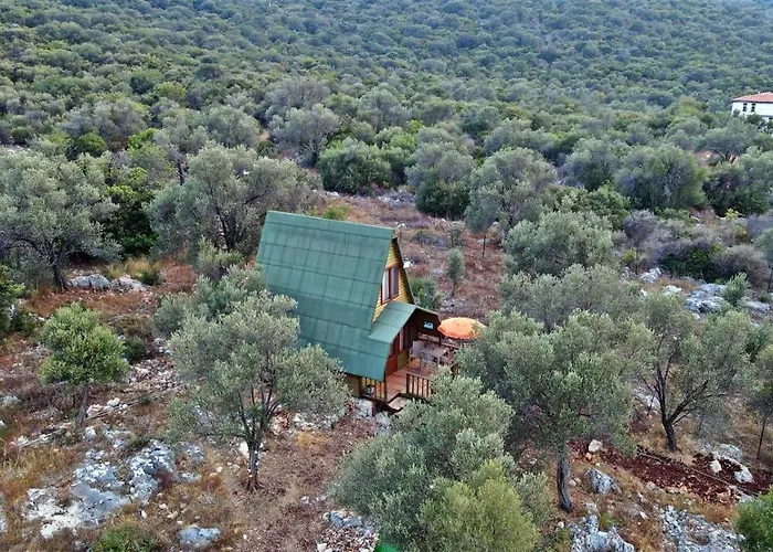 History Limanagzi Kaş